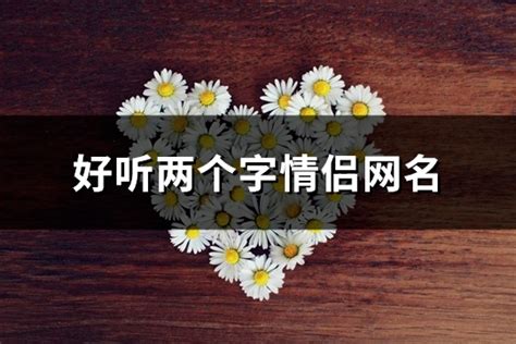 兩個名字|两个字的网名